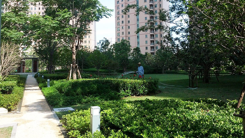 深圳市南山蛇口新区配套灯具工程案例