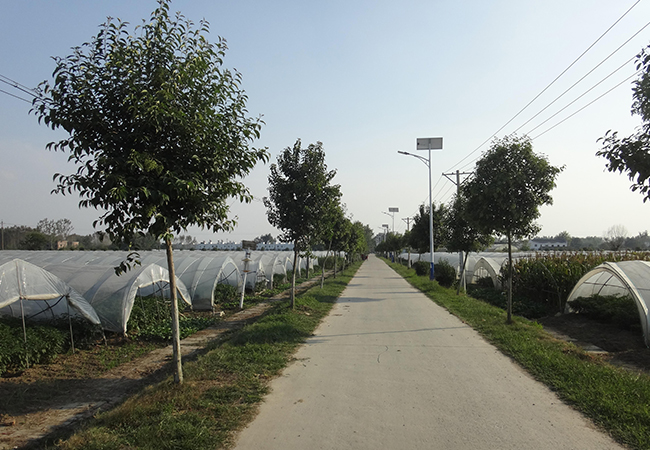 太阳能路灯生产厂家 太阳能路灯生产厂家