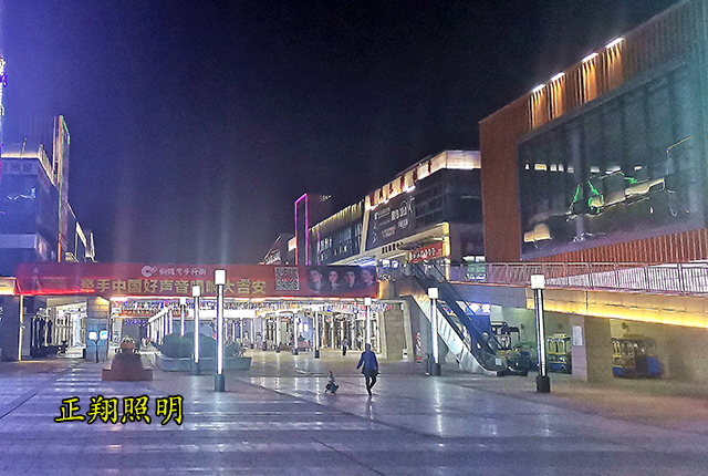 步行街LED景观灯 步行街LED景观灯