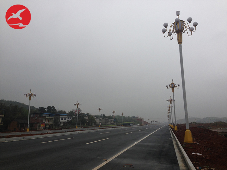 湖南省常宁市中华灯项目工程案例 湖南省常宁市中华灯项目工程案例