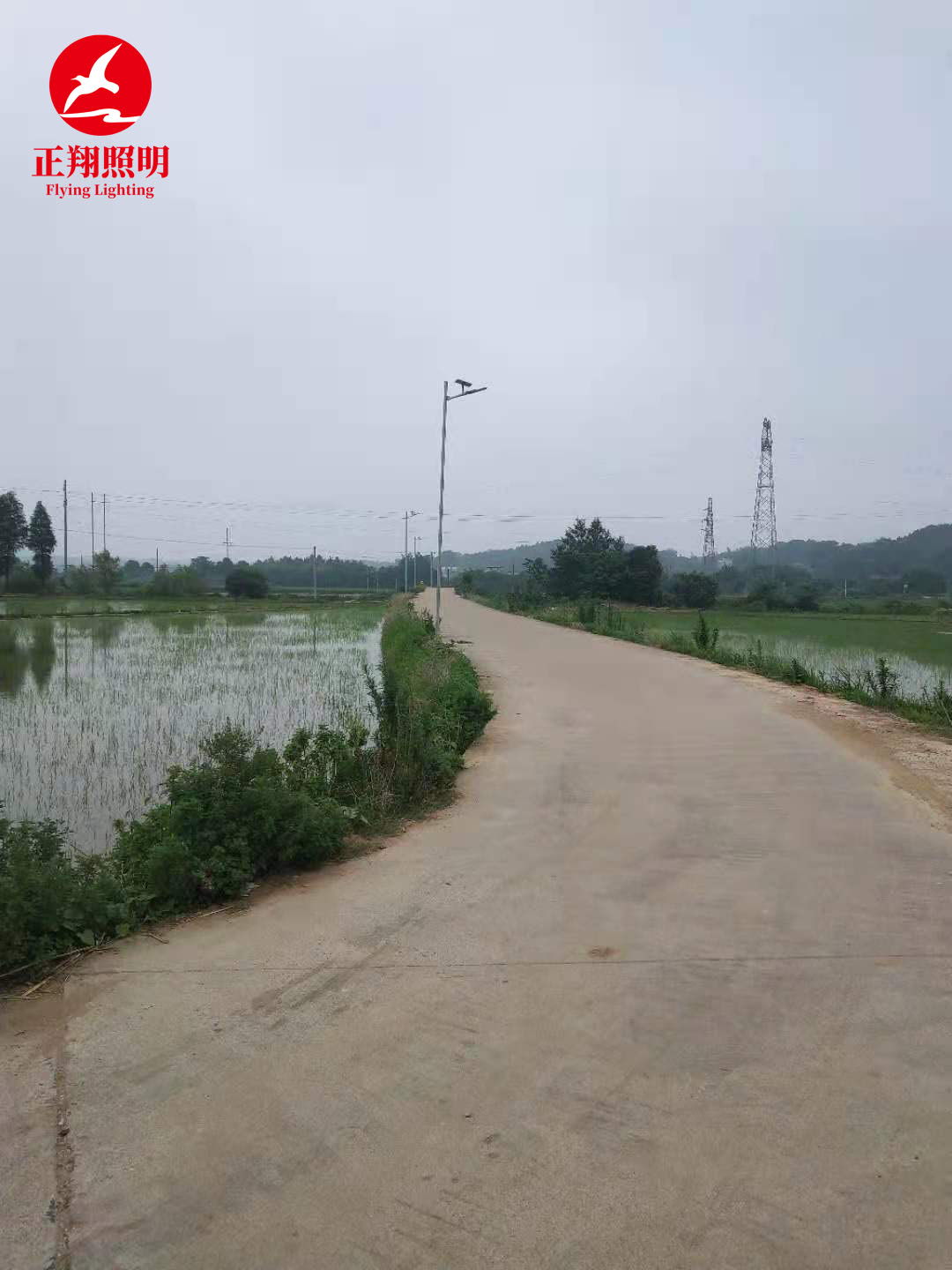 新农村led路灯案例