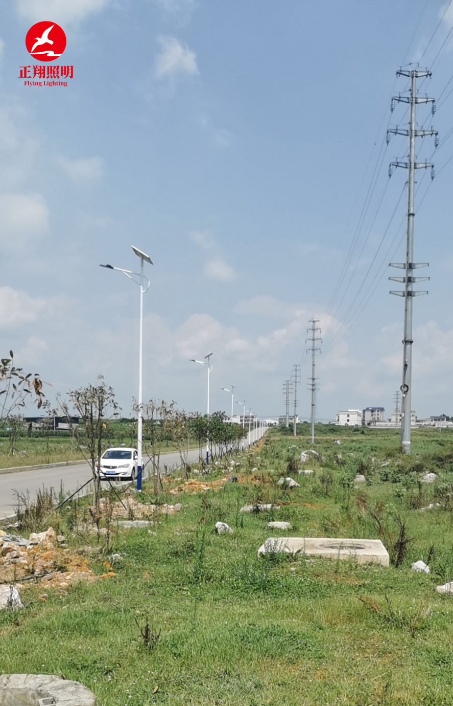 太阳能路灯工程案例