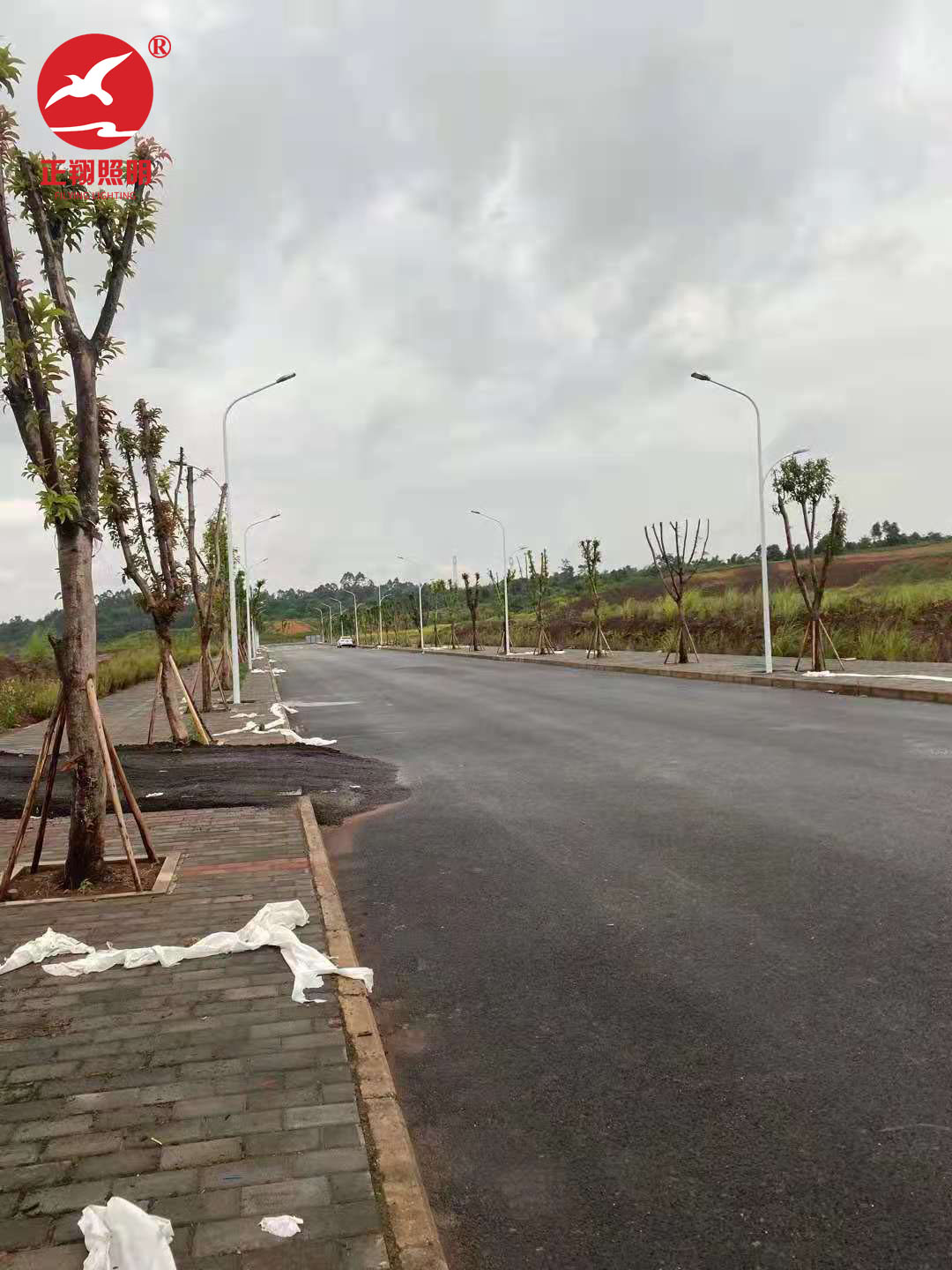 重庆潼南区市电路灯工程案例