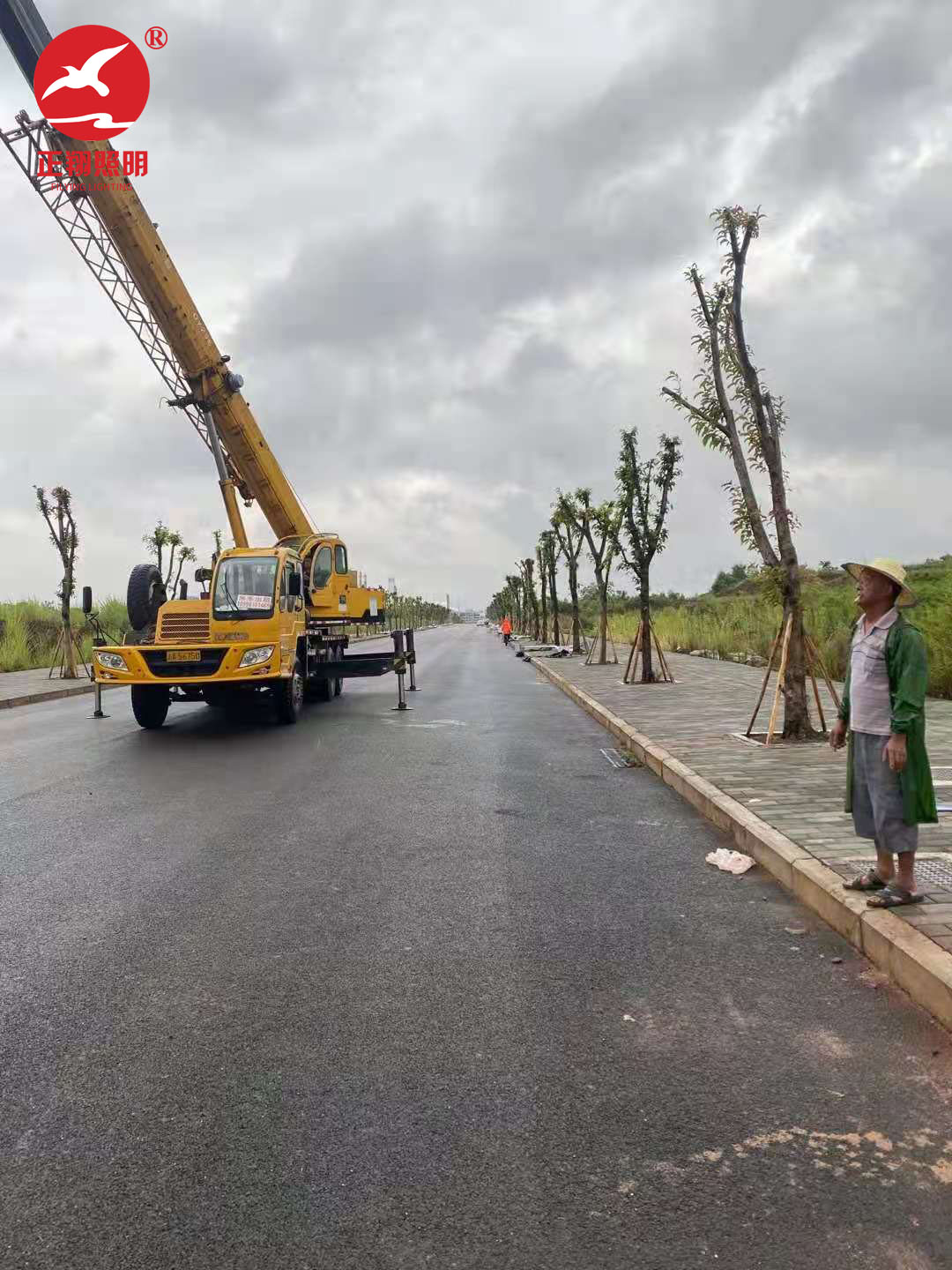 重庆潼南区市电路灯工程案例