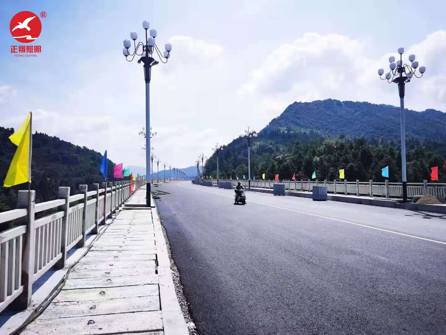 佛山晋成大道中华灯工程案例 佛山晋成大道中华灯工程案例