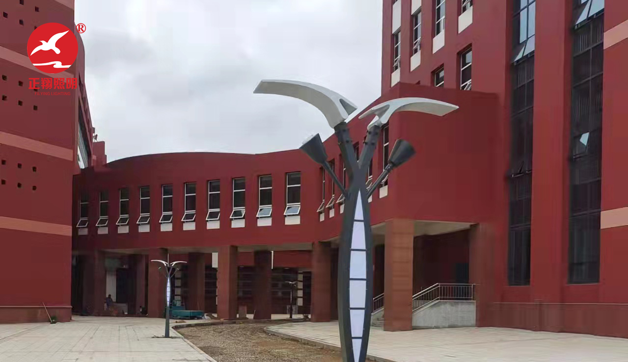 内蒙古师大盛乐小区图书馆LED景观灯工程案例 内蒙古师大盛乐小区图书馆LED景观灯工程案例