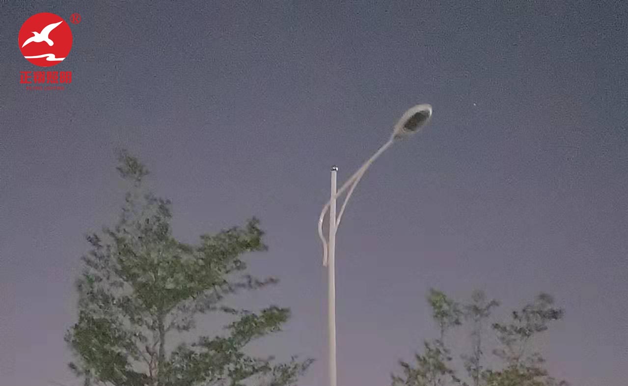 佛山南海中学高低臂市电路灯工程案例 佛山南海中学高低臂市电路灯工程案例