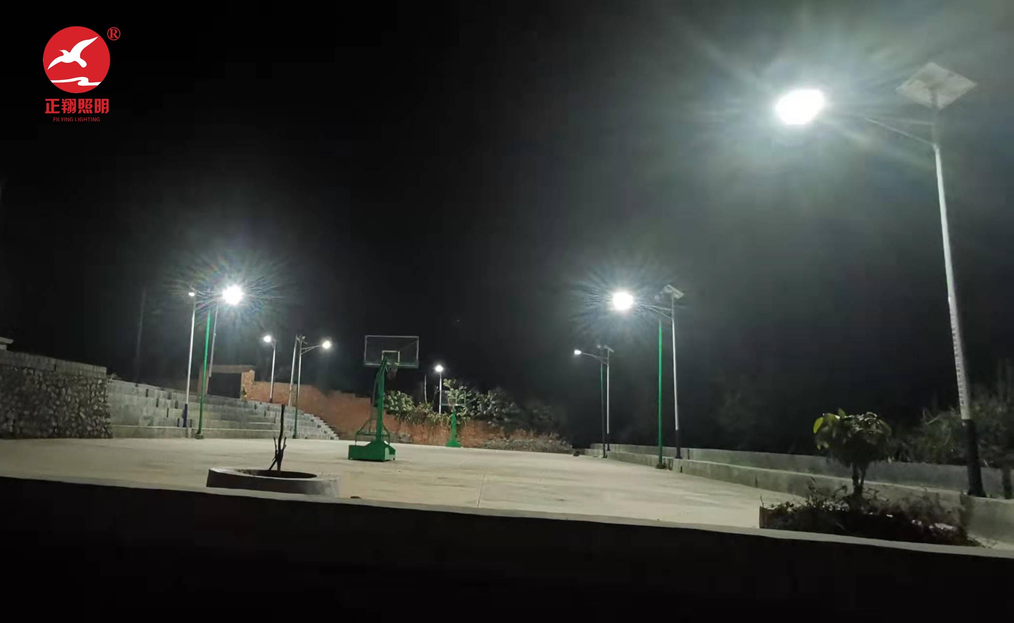 广西隆安县新农村太阳能路灯工程案例 广西隆安县新农村太阳能路灯工程案例