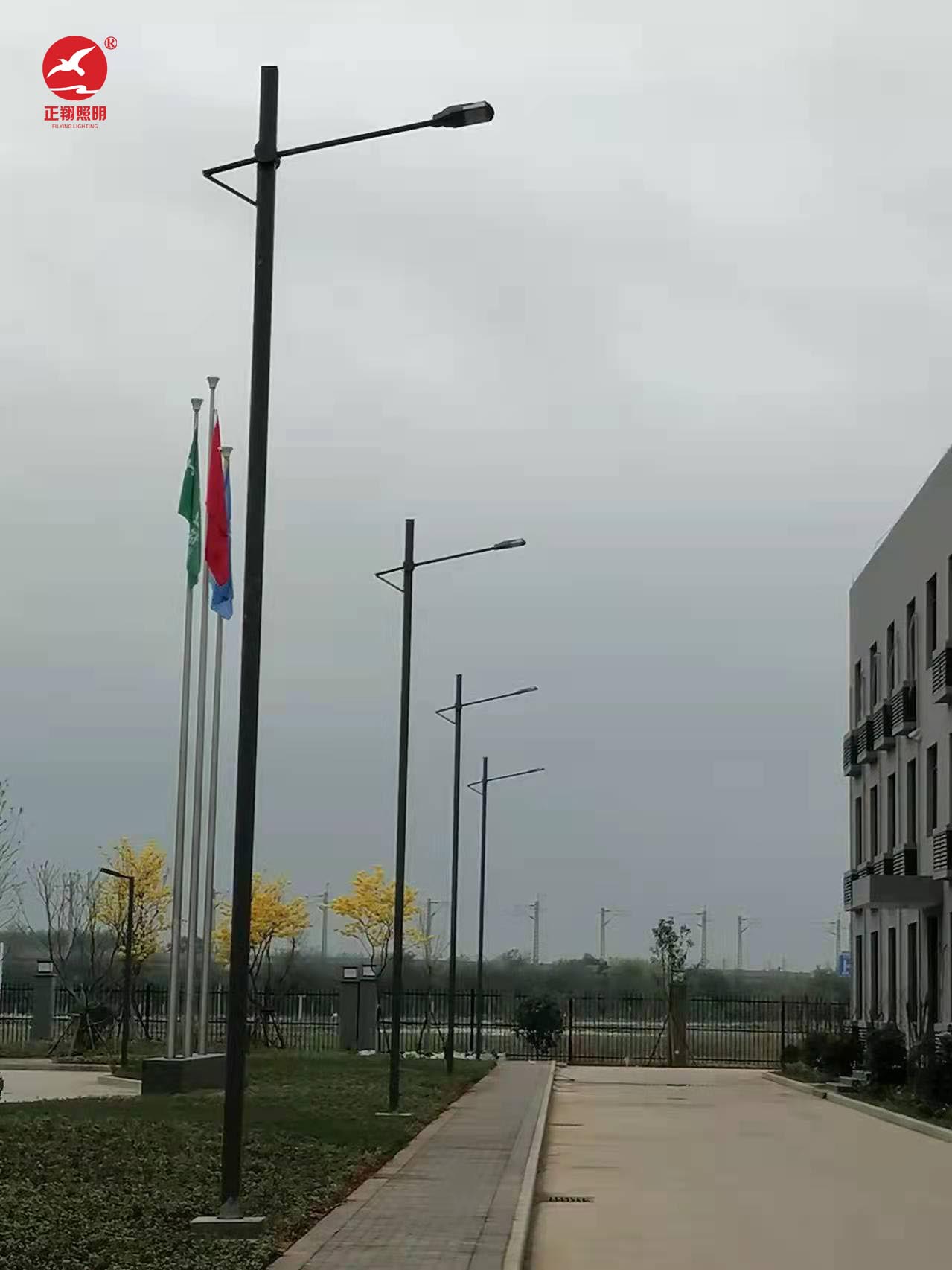 广西单臂市电路灯工程案例