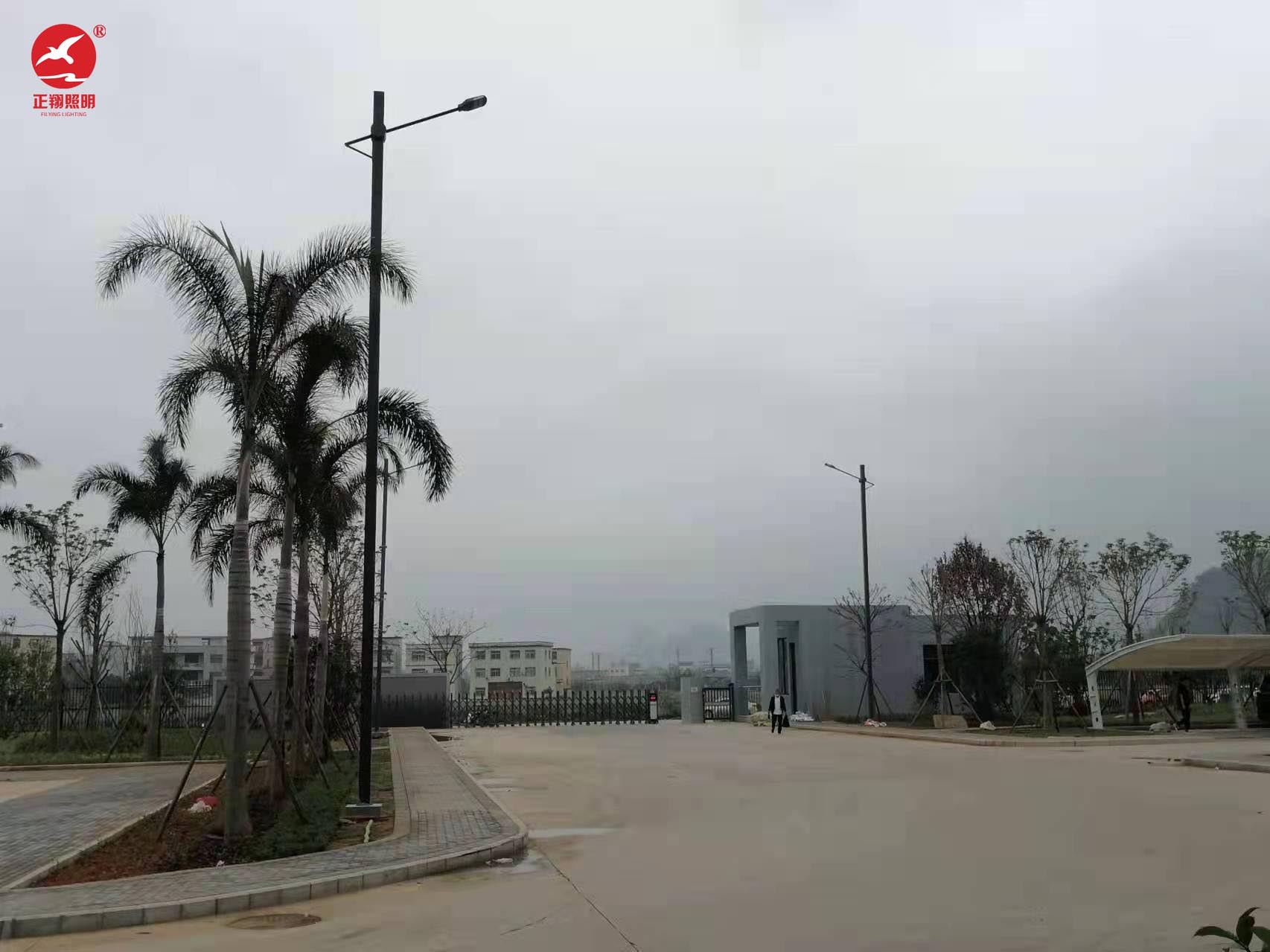 广西单臂市电路灯工程案例 广西单臂市电路灯工程案例