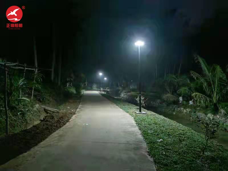 海南庭院灯工程亮灯案例 海南庭院灯工程亮灯案例