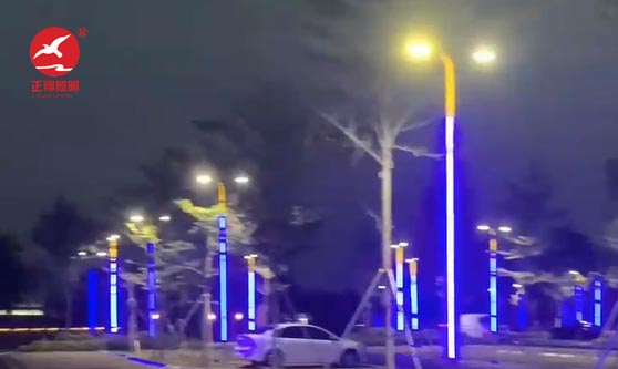 江门蓬江区滨海大道江门港口还石处路灯项目 江门蓬江区滨海大道江门港口还石处路灯项目