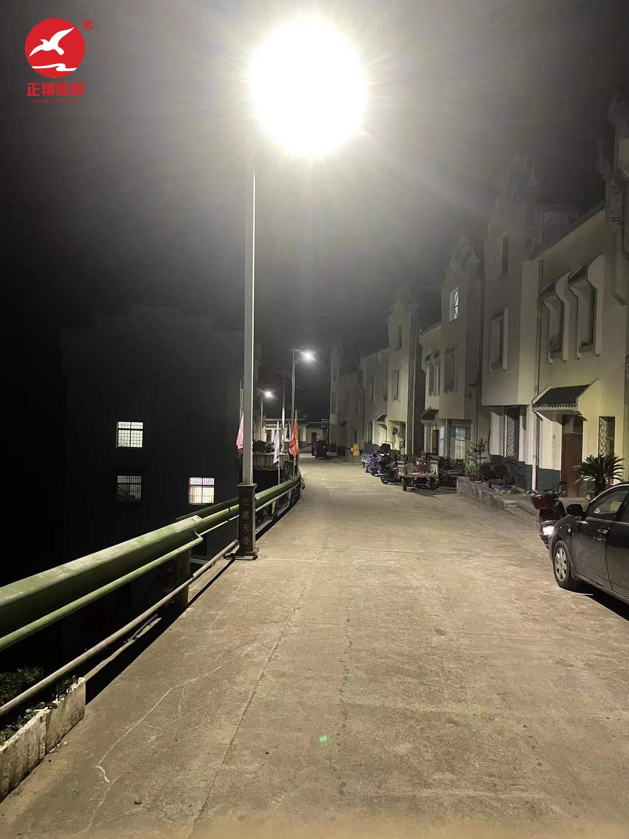 太阳能路灯工程案例