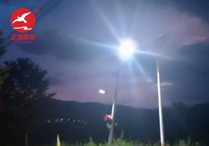 海南儋州太阳能路灯工程案例 海南儋州太阳能路灯工程案例