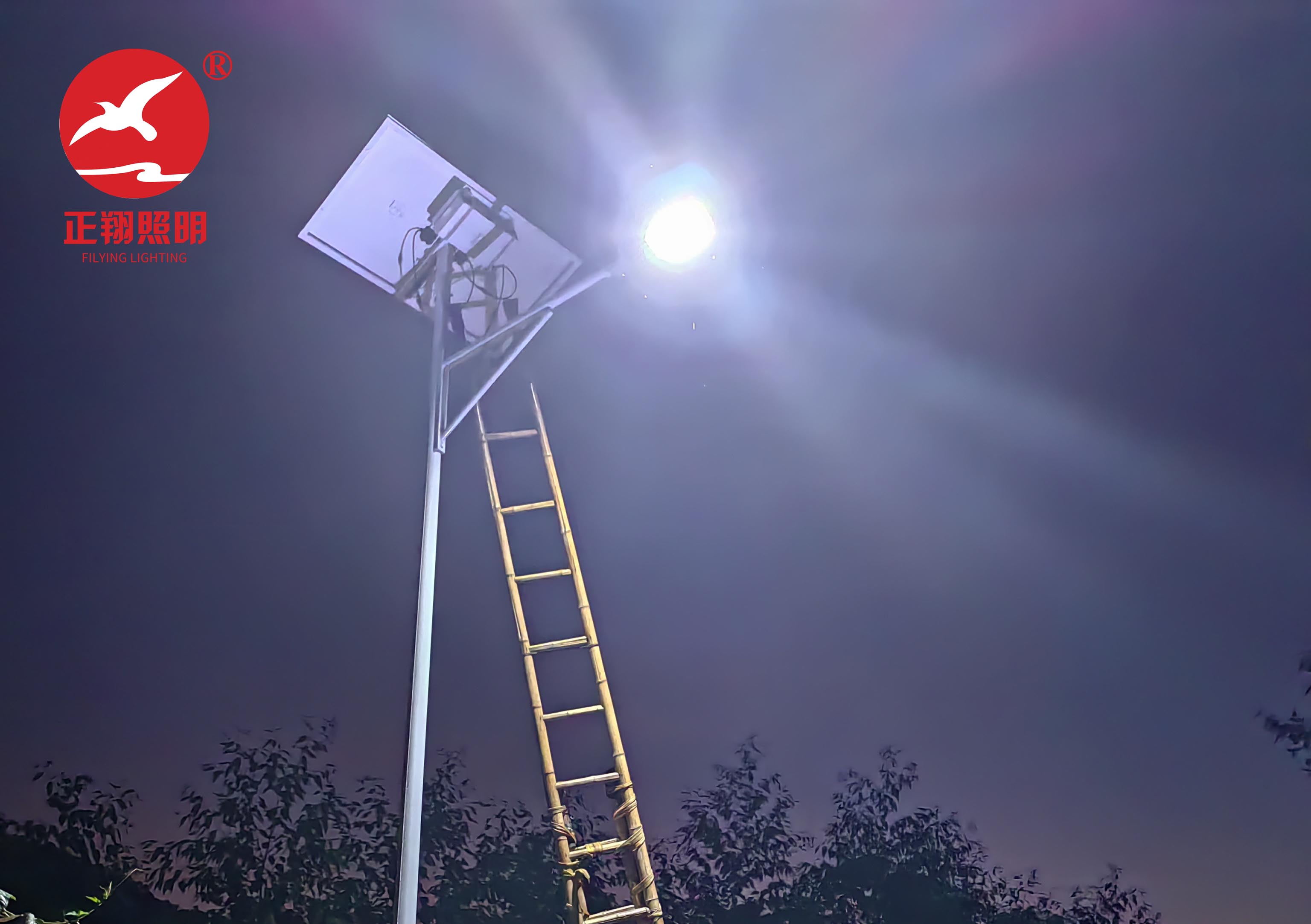 广西平果市太阳能路灯项目案例 广西平果市太阳能路灯项目案例