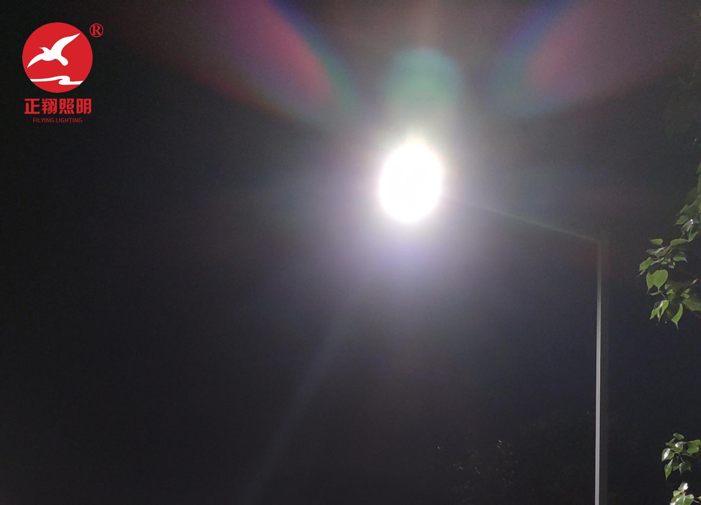 广州从化碧水新村市电单臂led路灯案例 广州从化碧水新村市电单臂led路灯案例