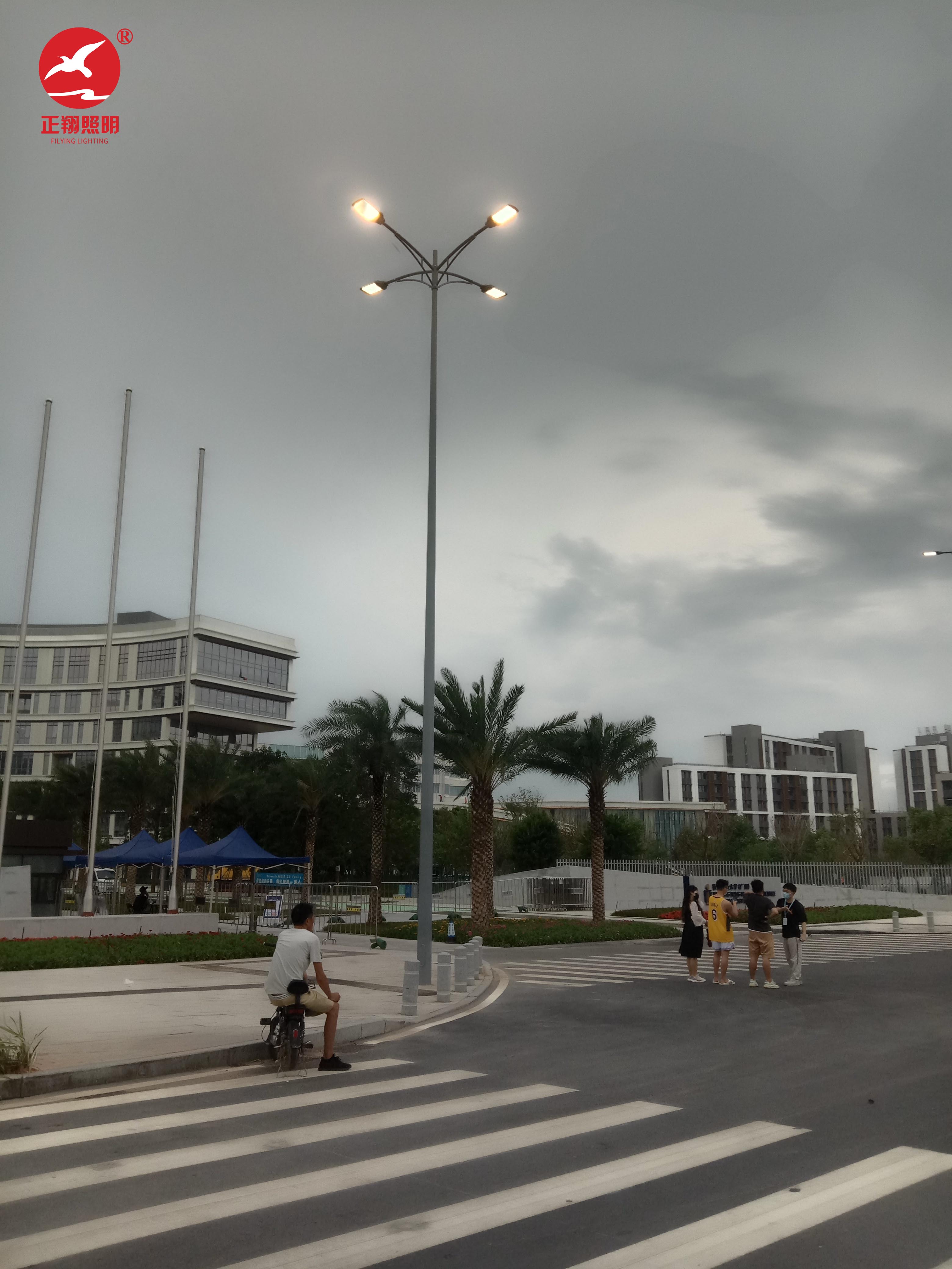 广西南沙庆盛广西南沙庆盛枢纽高低臂智慧路灯杆案例 广西南沙庆盛广西南沙庆盛枢纽高低臂智慧路灯杆案例