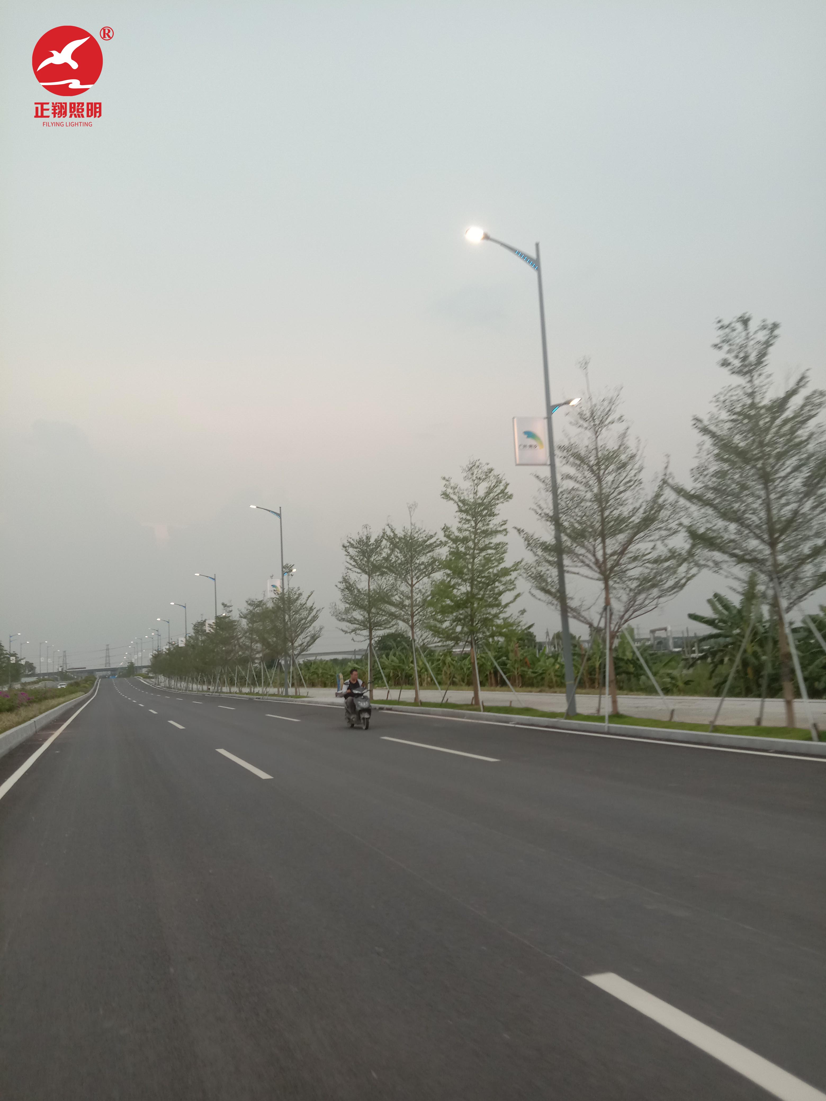 广西南沙庆盛广西南沙庆盛枢纽高低臂智慧路灯杆案例 广西南沙庆盛广西南沙庆盛枢纽高低臂智慧路灯杆案例