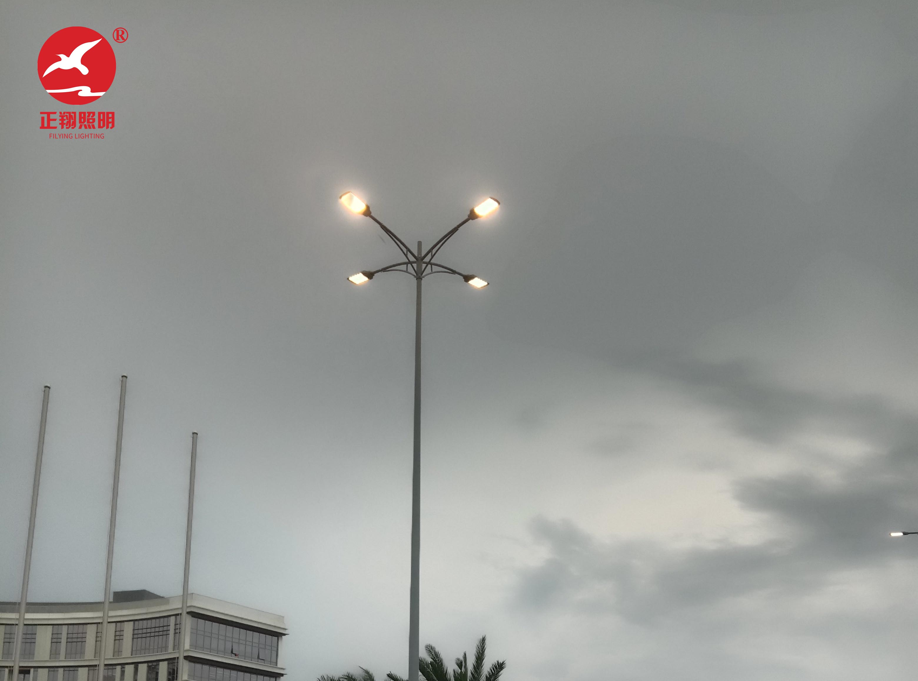 广西南沙庆盛枢纽高低臂智慧路灯杆项目案例 广西南沙庆盛枢纽高低臂智慧路灯杆项目案例
