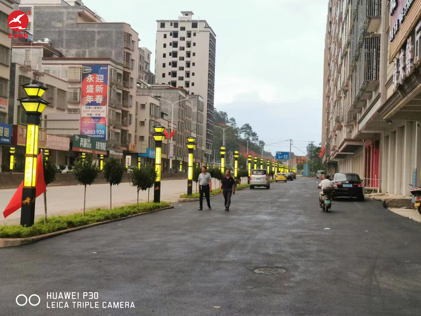 茂名高州景观灯工程案例 茂名高州景观灯工程案例