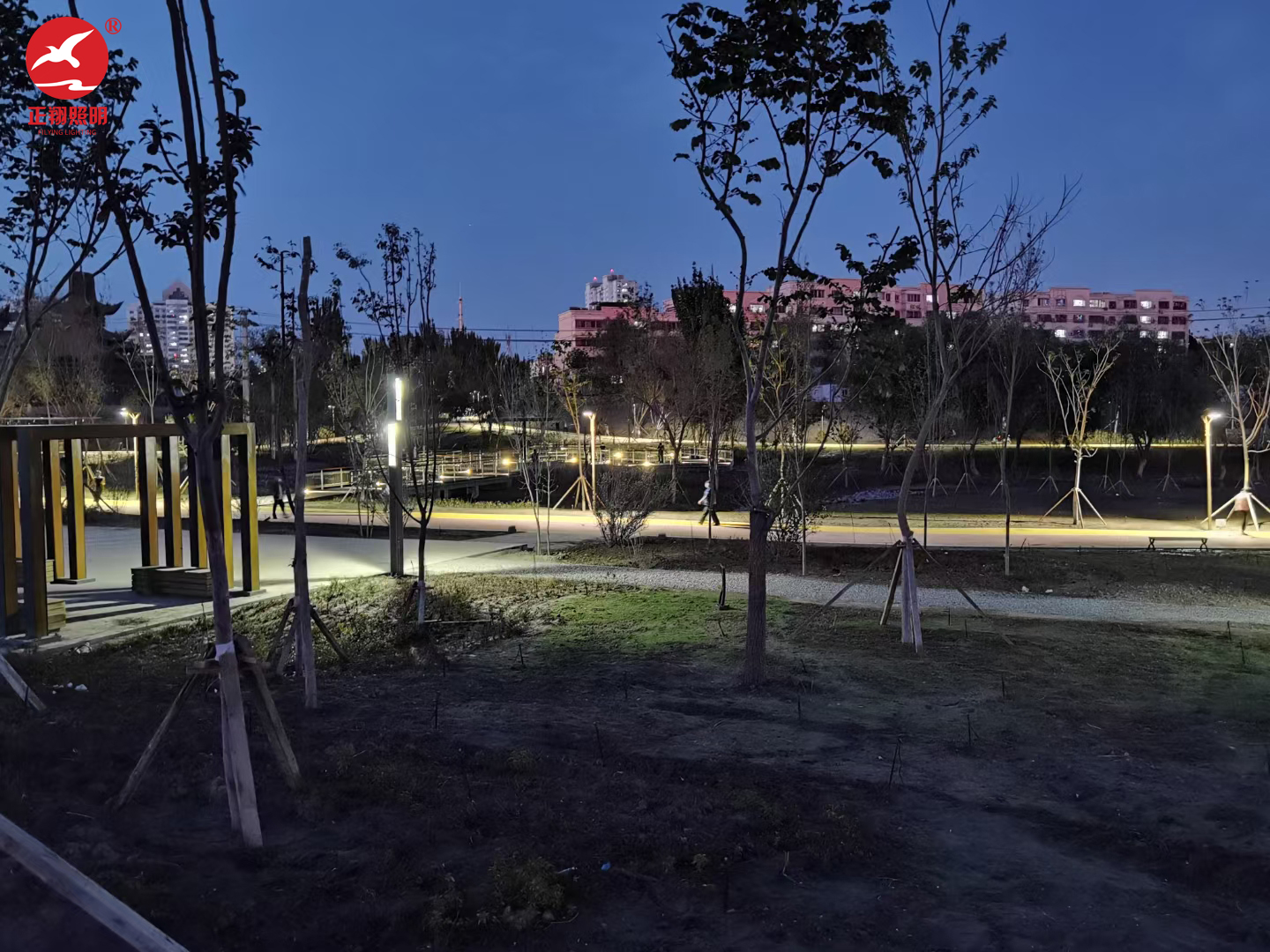 新疆哈密市伊州区建设东路哈铁公园庭院灯项目