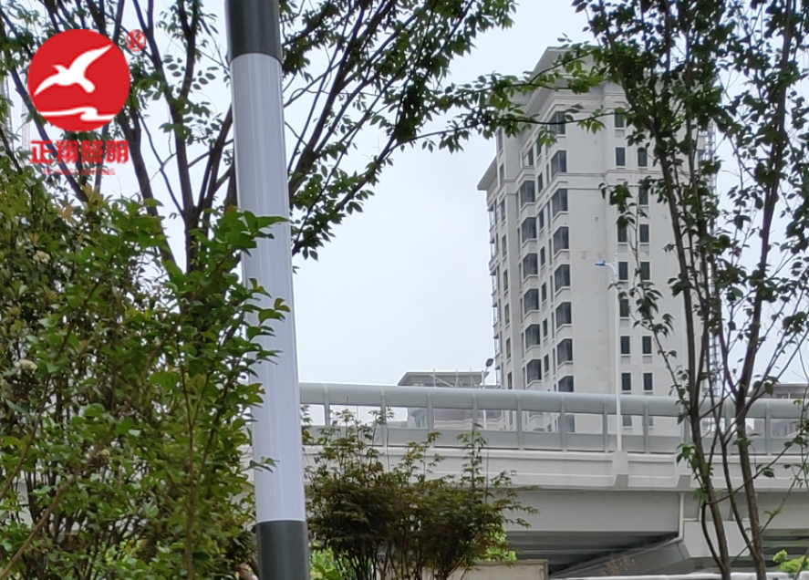 江西赣州简约景观灯灯柱工程案例 江西赣州简约景观灯灯柱工程案例