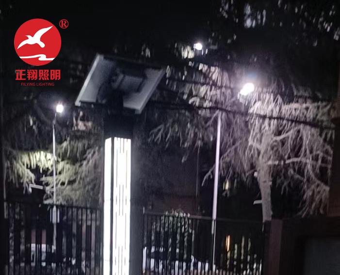 江西南昌市太阳能景观灯工程案例 江西南昌市太阳能景观灯工程案例