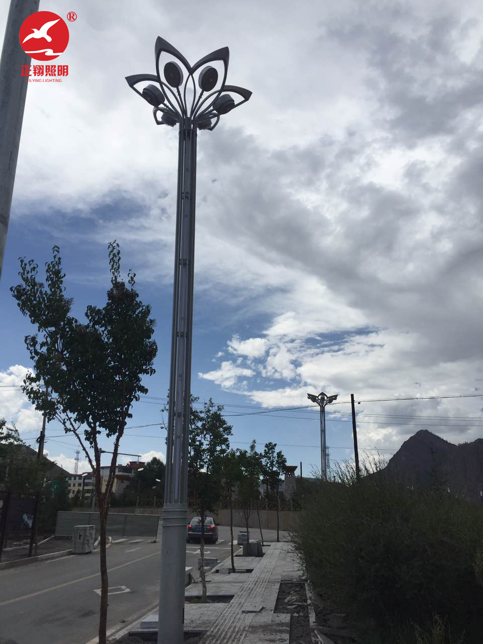 青海西宁玉兰灯工程案例