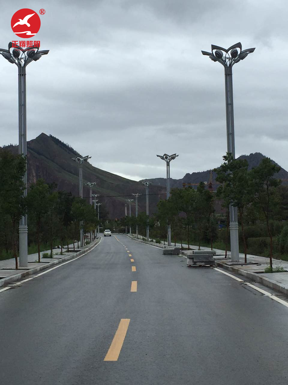 青海西宁玉兰灯工程案例