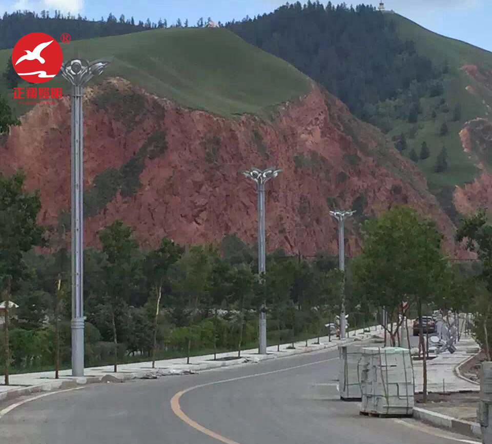 青海西宁玉兰灯工程案例 青海西宁玉兰灯工程案例