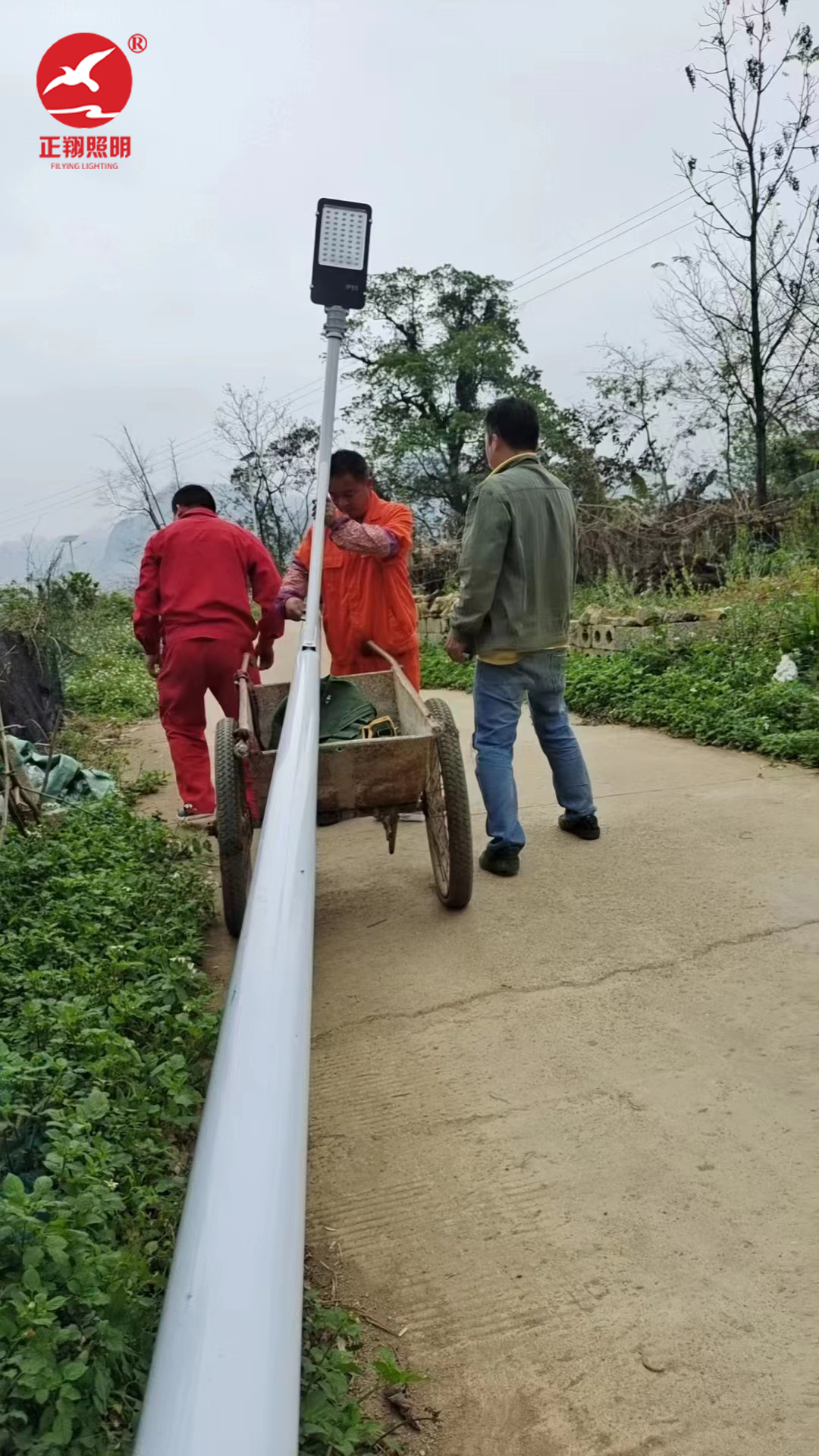 广西靖西市太阳能路灯项目案例