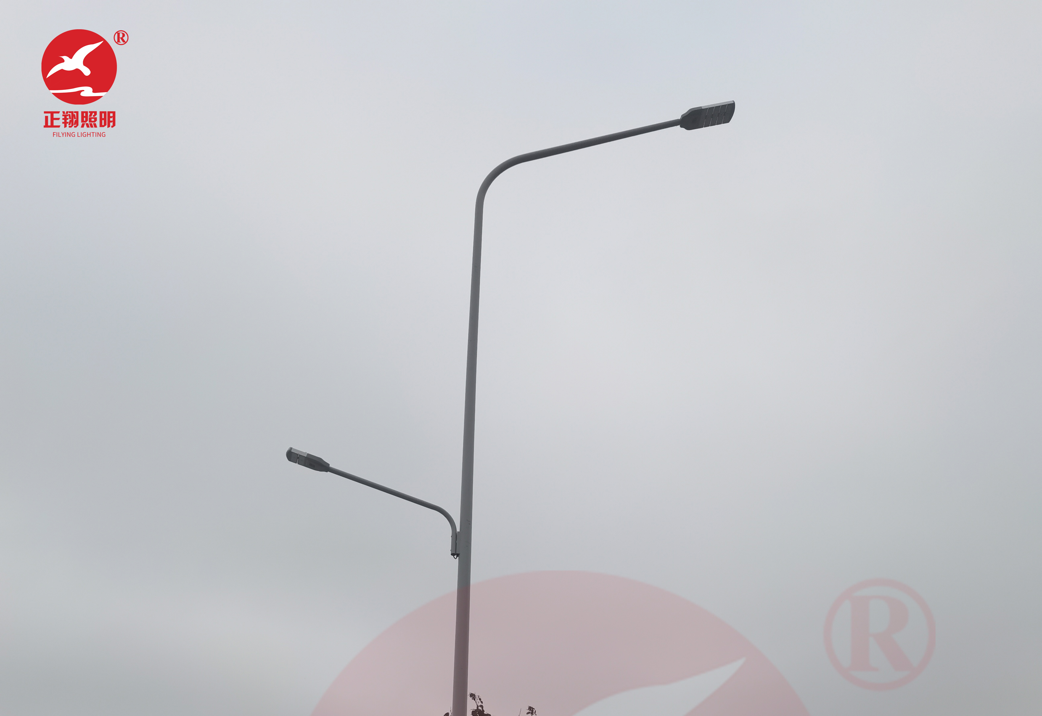 佛山容桂外环路上涌河路段市电路灯案例 佛山容桂外环路上涌河路段市电路灯案例