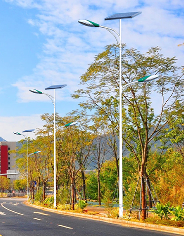 LED太阳能路灯ZX-LD106