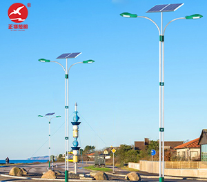 LED太阳能路灯ZX-LD108