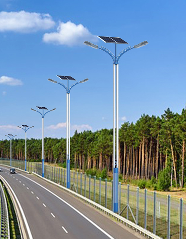 LED太阳能路灯ZX-LD113 LED太阳能路灯ZX-LD113