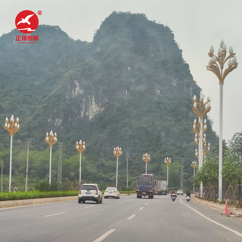 广西壮族自治区玉兰灯工程案例 广西壮族自治区玉兰灯工程案例