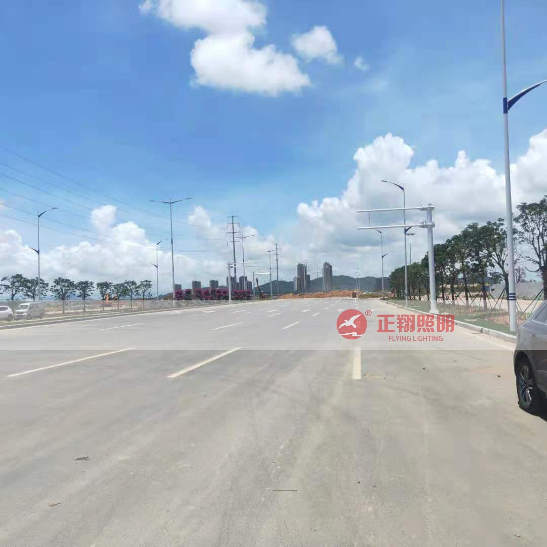 户外双臂路灯工程案例