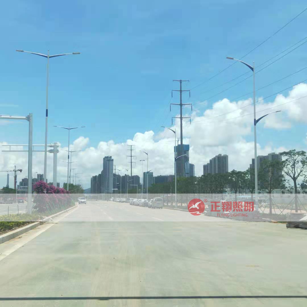 户外双臂路灯工程案例