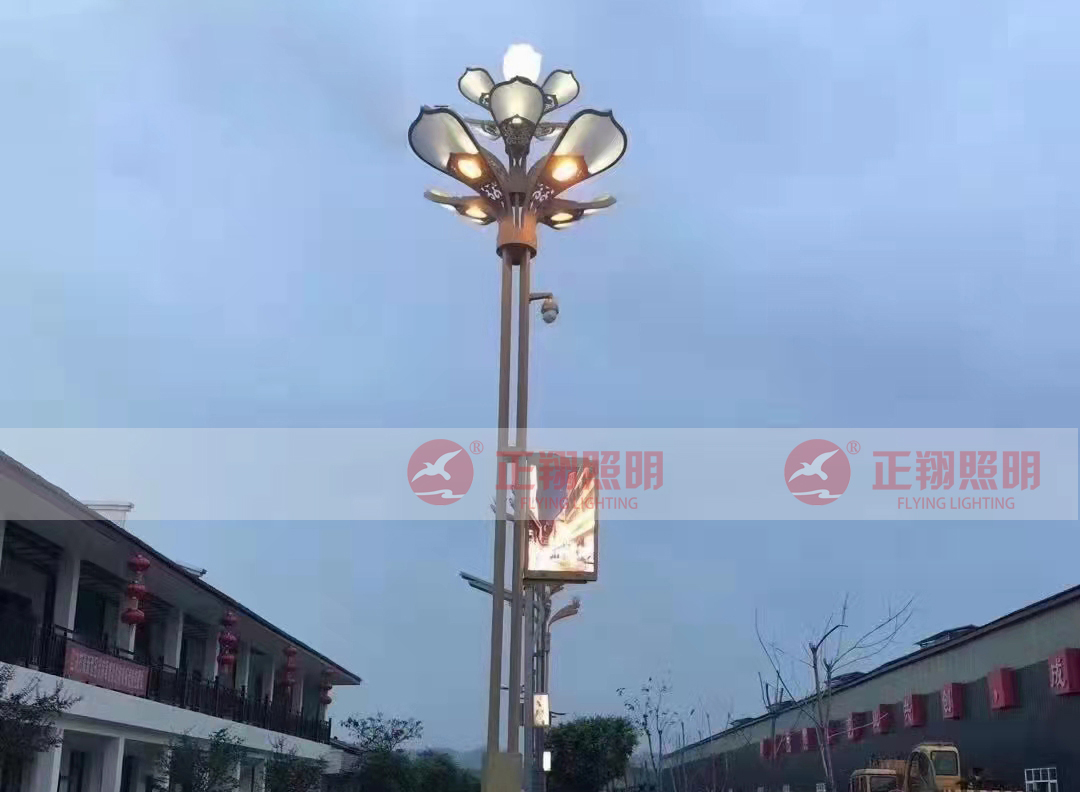 四川户外智慧路灯工程案例 四川户外智慧路灯工程案例