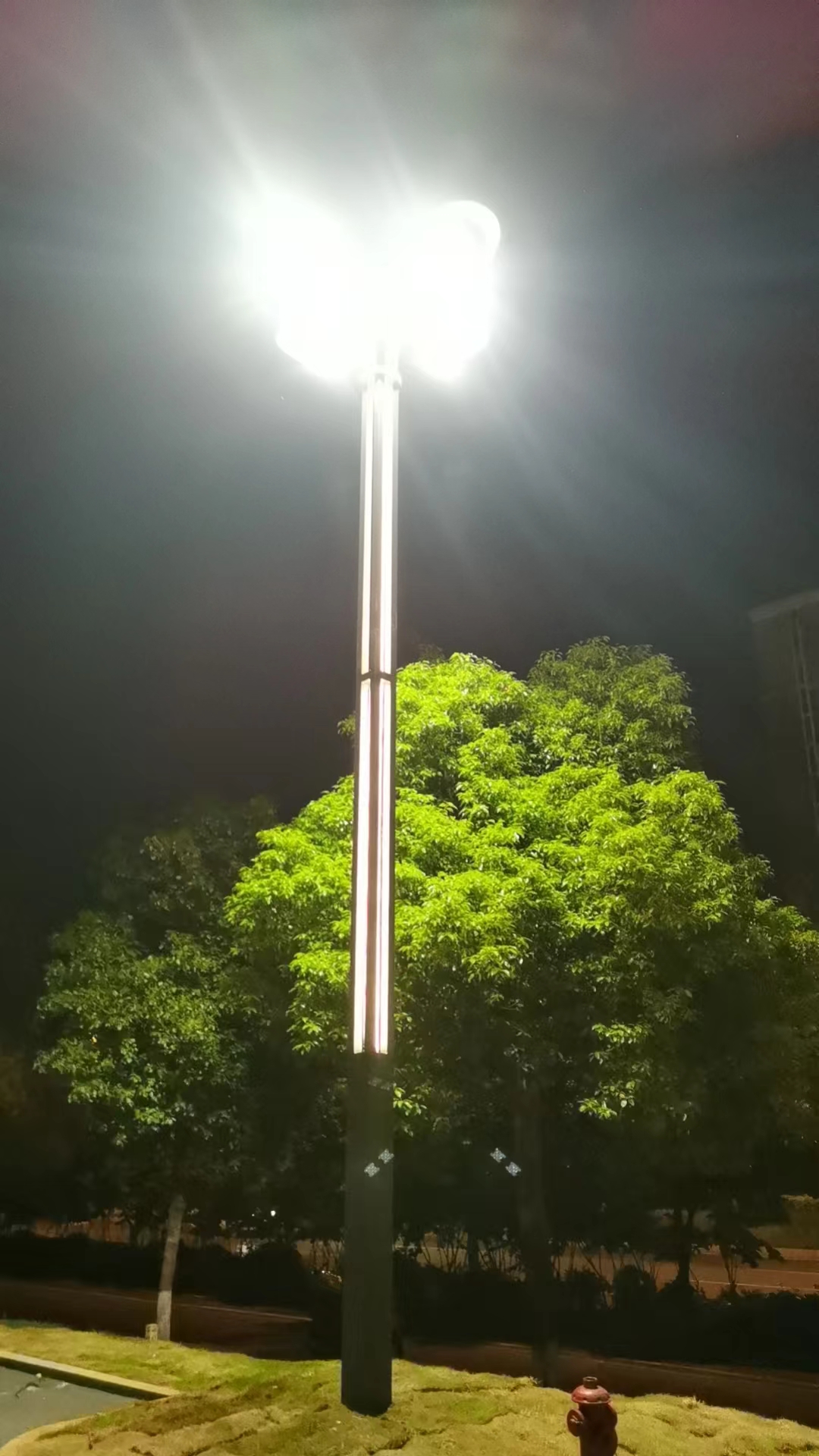 湖南-株洲醴陵市玉兰灯安装工程案例 湖南-株洲醴陵市玉兰灯安装工程案例