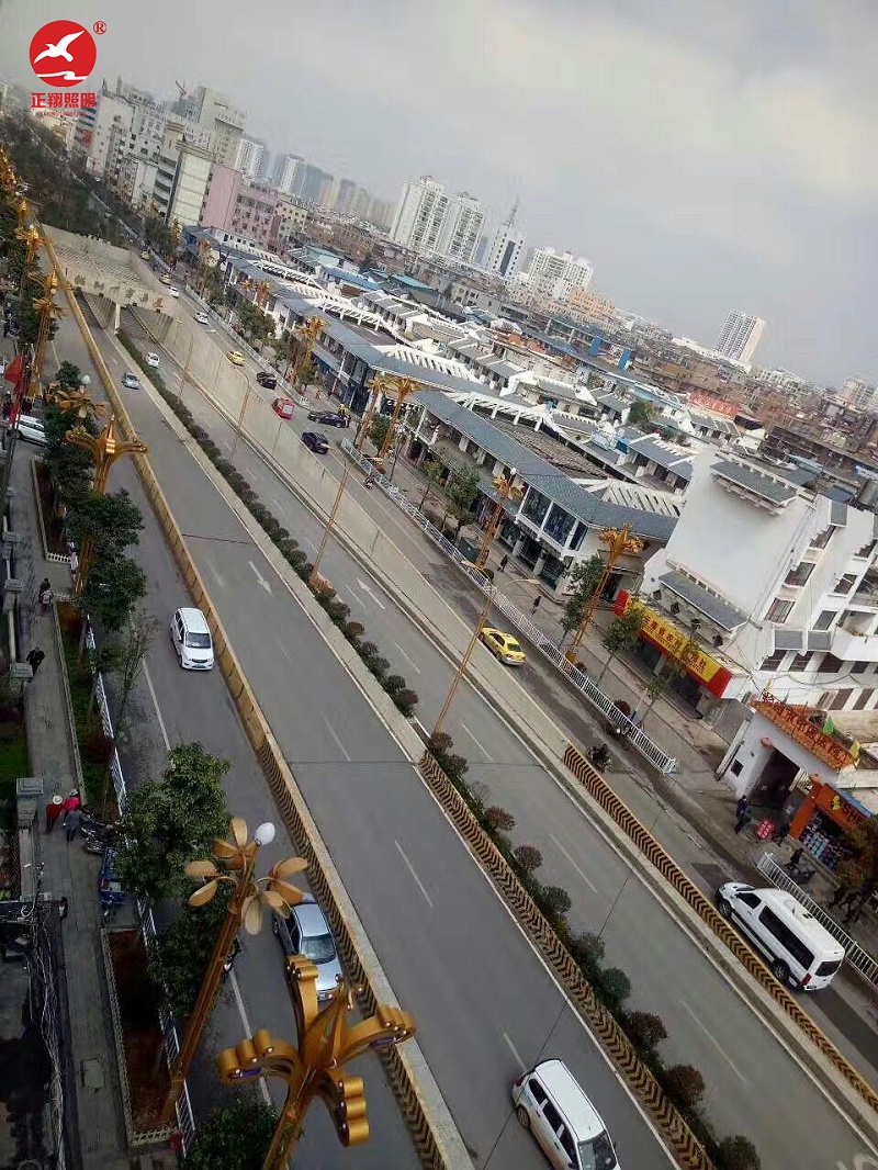 广东市政道路玉兰灯工程 广东市政道路玉兰灯工程