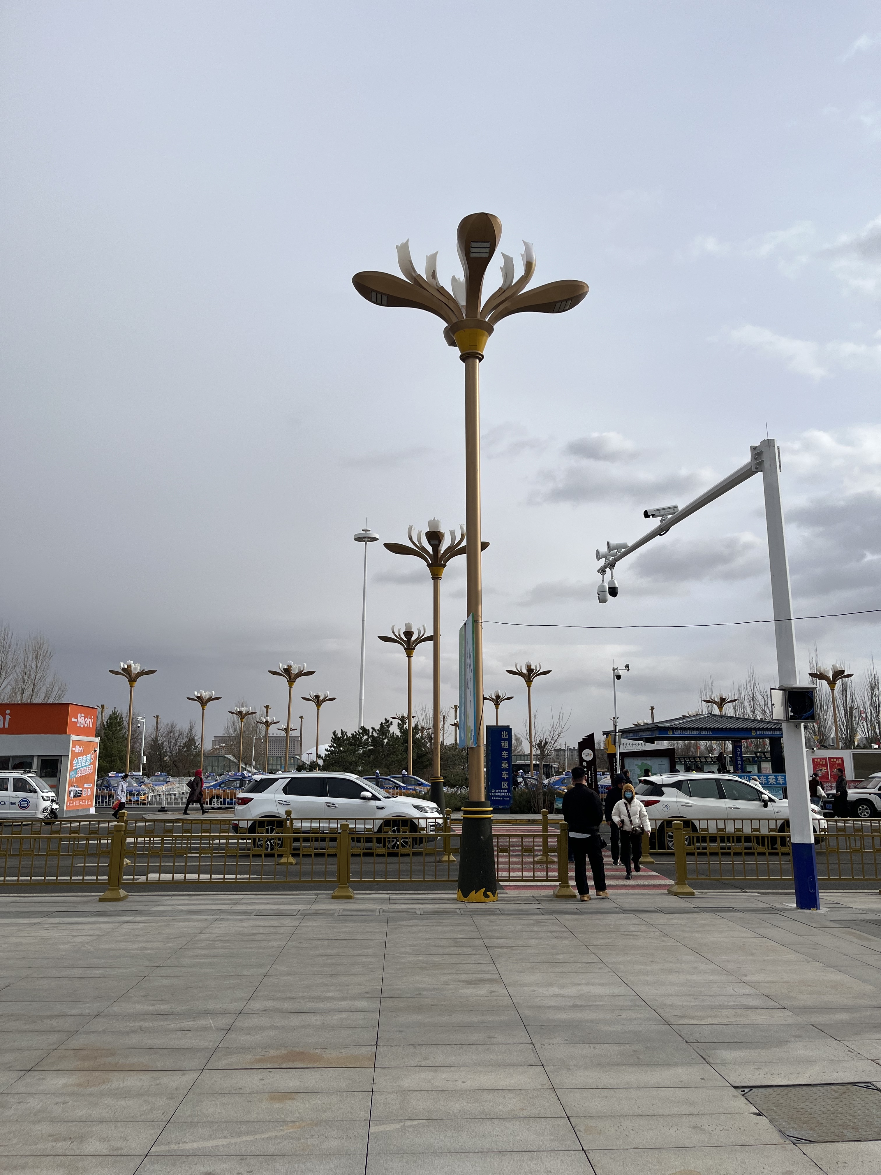 内蒙古乌兰察布市玉兰灯安装工程 内蒙古乌兰察布市玉兰灯安装工程