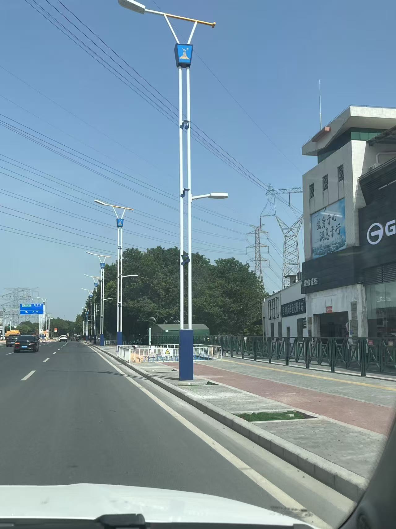 广州亚运大道市电路灯工程案例 广州亚运大道市电路灯工程案例