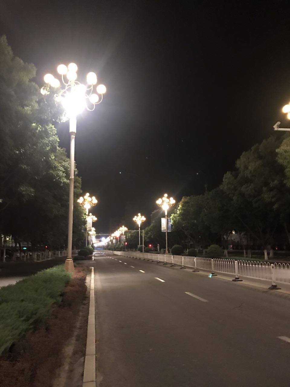 宁夏银川市政道路中华灯安装