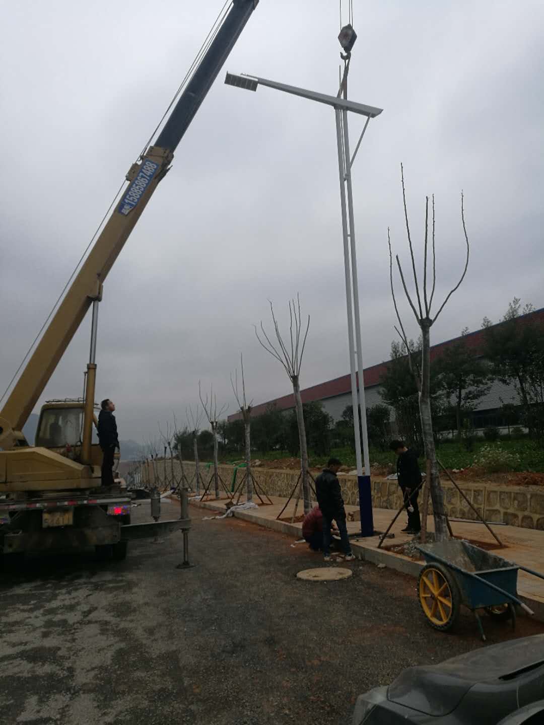 贵州毕节9米市政路灯安装