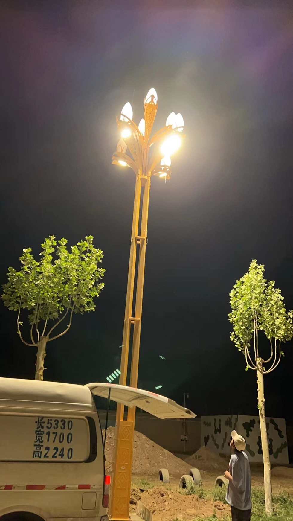 新疆道路玉兰灯安装工程