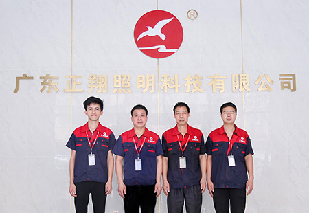 团队优势 团队优势