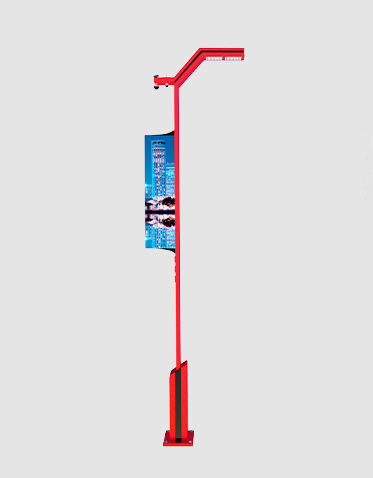 智慧路灯ZX-ZHLD009 智慧路灯ZX-ZHLD009