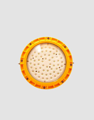 LED投光灯ZX-TGD004 LED投光灯ZX-TGD004