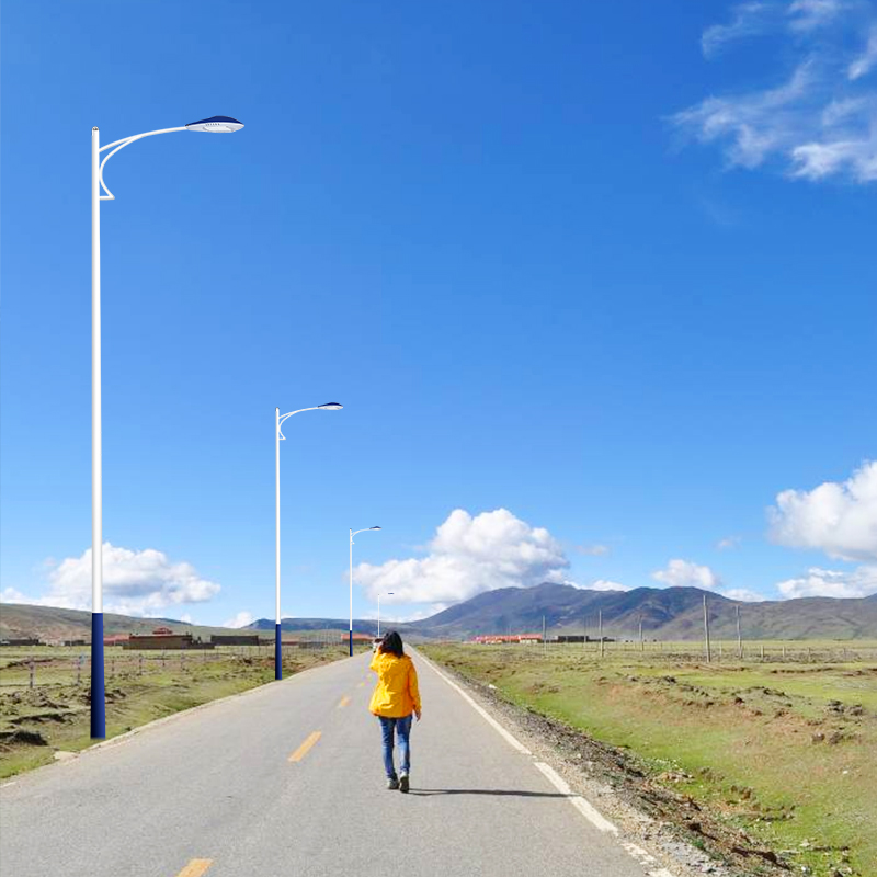 LED路灯ZX-LD018 LED路灯ZX-LD018